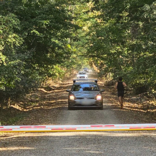 Acces direct la București pentru Greenfield – Băneasa în contextul dezbaterii pădurii Băneasa