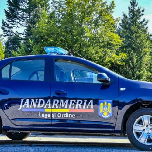 Jandarmi Ilfov au interceptat un camion plin cu deșeuri în timp ce arunca conținutul într-o groapă