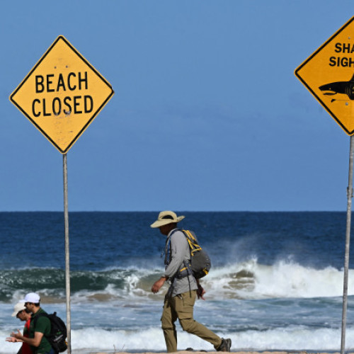 Un atac cu rechin mortal în Sydney, în largul plajelor Long Reef și Dee Why