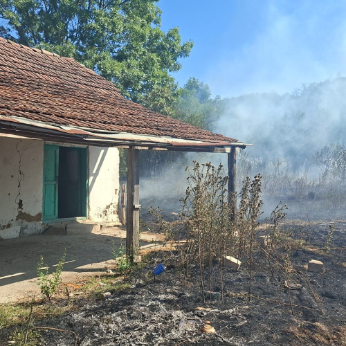 Incendiu de vegetație în Mehedinți: pompierii intervin la Valea Ursului