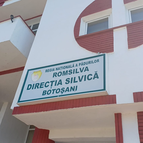 Direcția Silvică din Botoșani, între cele mai performante unități ale Regiei Autonome a Pădurii – Romsilva, a înregistrat anul trecut un profit brut de 2,7 milioane de lei