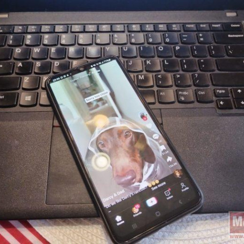 Alegerea designului platformelor de socializare și impactul asupra democrației