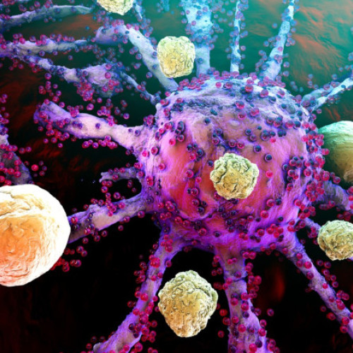 Descoperiri despre mutațiile genetice și posibila prevenție prin imunitate