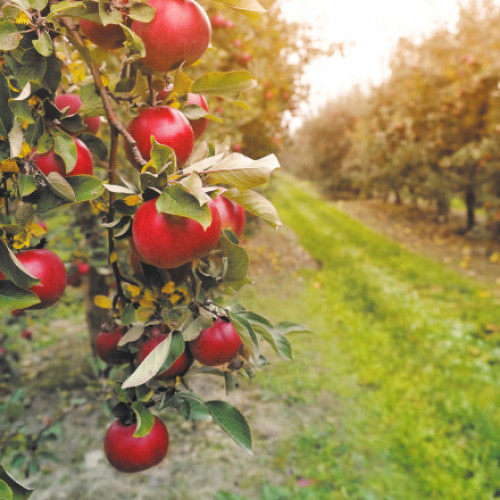 Vreme caldă în următoarea perioadă, apoi răcire după 11 septembrie
