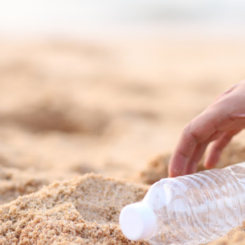 Oamenii adună sticle de plastic pe litoral; turiștii și activiștii laudă efortul