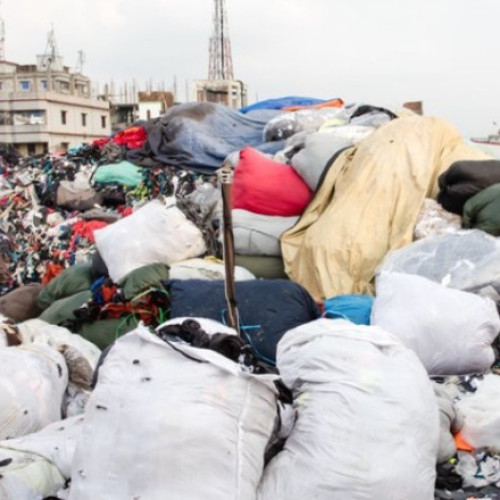 Parlamentul European adoptă lege privind reducerea risipei alimentare și textile