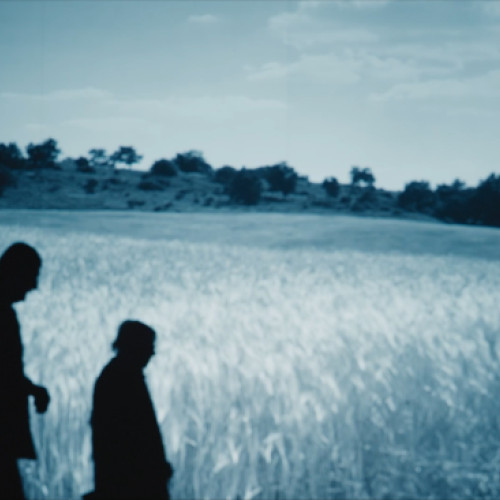 Pădurea de Molizi reconstituie drama Fântâna Albă din 1941