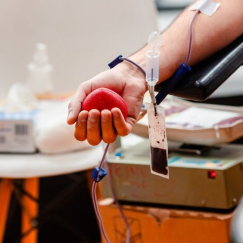 Vara a fost ușor mai bună pentru donatori, spune CTS București