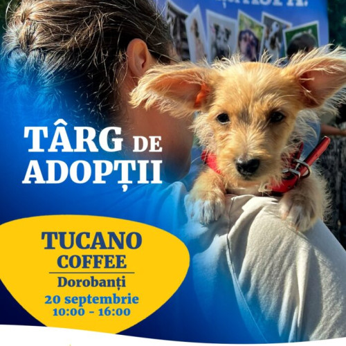 ASPA organizează târg de adopții la Tucano Coffee Dorobanți