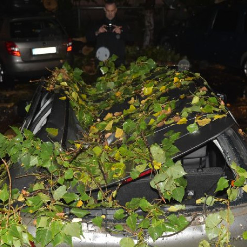 Sectorul 2 acordă despăgubiri pentru daune provocate de fenomene naturale