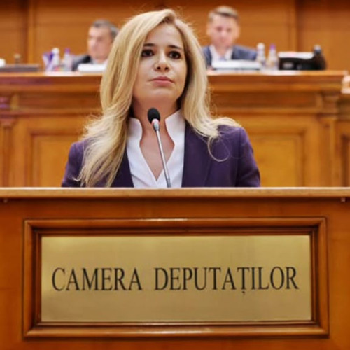 Mihalcea și colegii PSD depun două propuneri pentru Pachetul 1