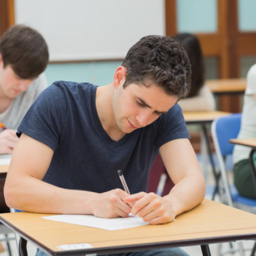 Elevi pot echivala probele de competențe digitale cu bacalaureatul