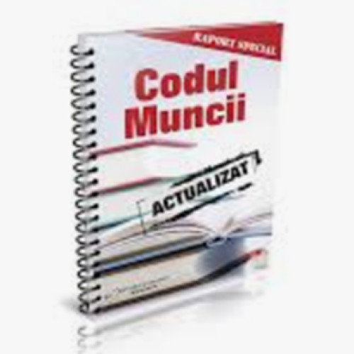 Parlamentul aprobă extinderea muncii de acasă pentru părinții cu copii în handicap