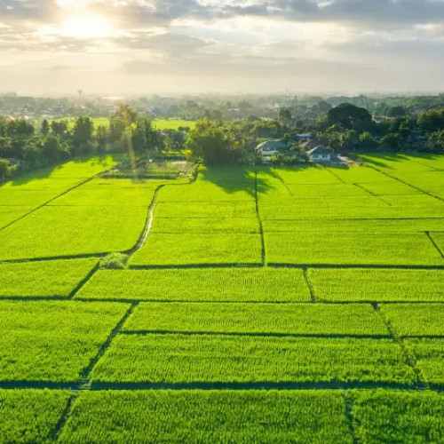 Cei mai mari proprietari de terenuri în 2025