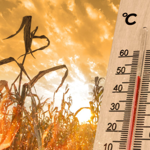 Cât au costat valurile de caniculă, seceta şi inundaţiile din vara anului 2025 din Europa și care au fost cele mai afectate țări