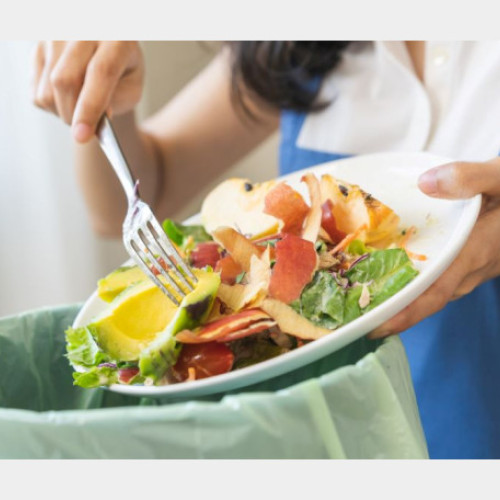 România contribuie cu 2,5 milioane de tone la risipa alimentară din Uniunea Europeană