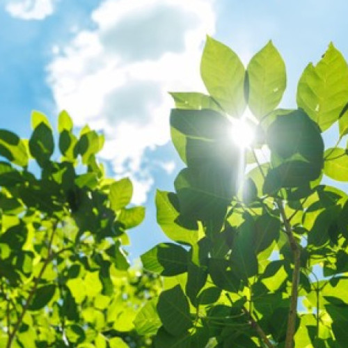 Gaura din stratul de ozon de deasupra Antarcticii se reduce semnificativ