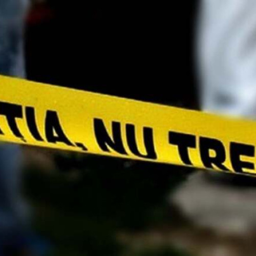 Fragmente osoase găsite într-o baltă privată din Sacoșu Mare