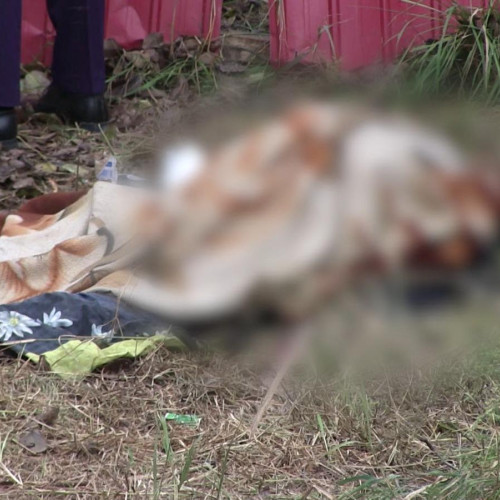 Bărbat din Havârna găsit mort în curte în stare de descompunere