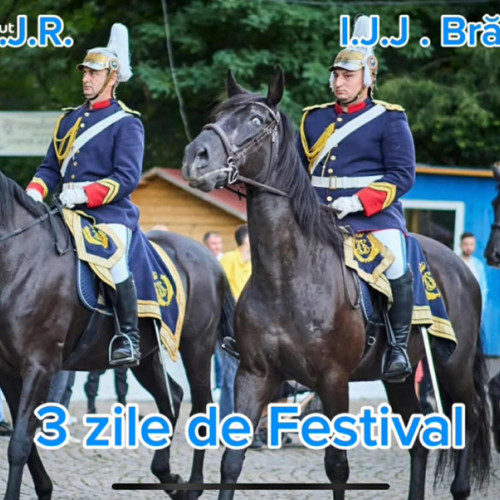 Jandarmii brăileni au susținut Festivalul Istoric Vladislav I cu activități educative și recreative