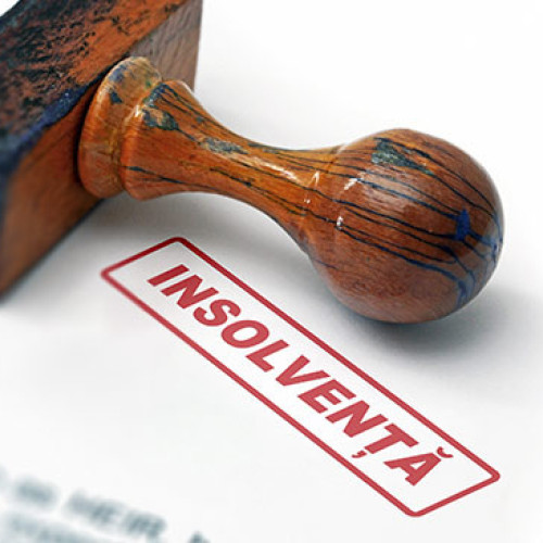 Antosan Lucky Holding SRL din Botoșani a solicitat intrarea în insolvență
