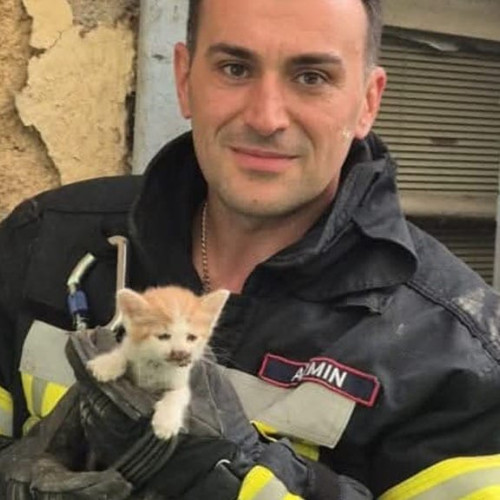 Pompierii din Reșița salvează un pui de pisică în pericol