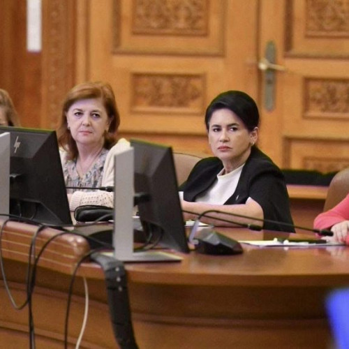 Parlamentul a înființat comisia „România fără violență domestică”