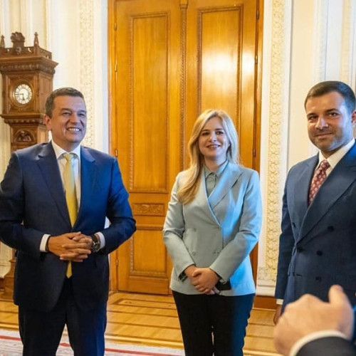 Deputata Mihalcea: aderarea României la OCDE, un obiectiv strategic major