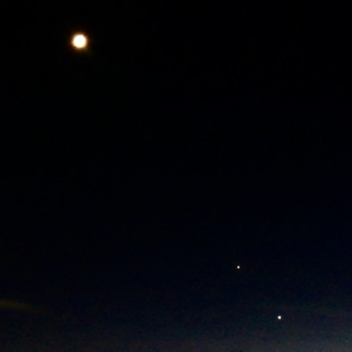 Alinierea spectaculoasă dintre lună, Venus și Regulus poate fi observată vineri dimineață