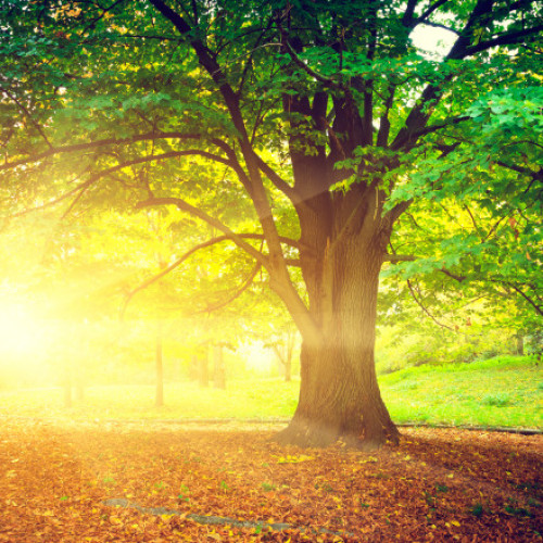 Ultima săptămână din septembrie va fi mai caldă decât de obicei în România