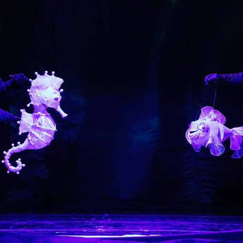 Program cultural în Tulcea: spectacole variate pentru toate vârstele în perioada 23-27 septembrie