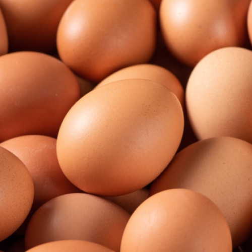 Retragere de ouă bio din supermarketuri după risc de Salmonella