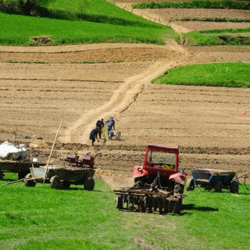 Creștere a firmelor agricole active în Iași, în ciuda insolvențelor în sector