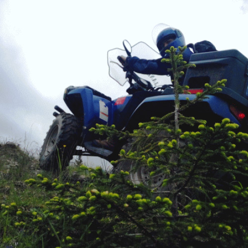 Turiști blocați în Munții Bucegi salvați după o intervenție de 9 ore