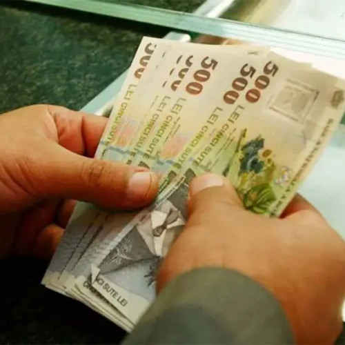 Persoanele cu dizabilități pot obține credite cu dobânda plătită integral de stat