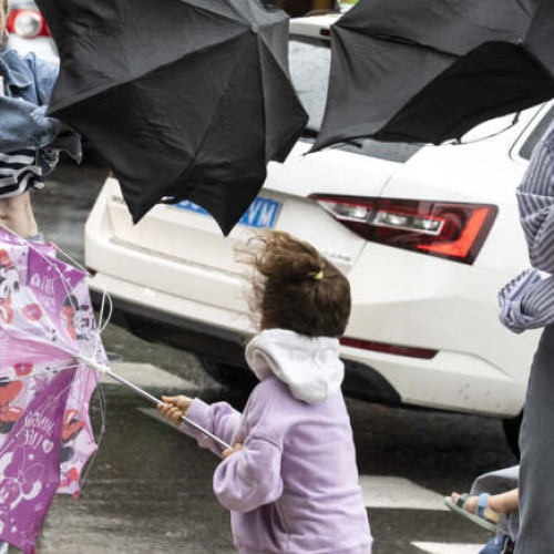 Cod galben de vânt emis pentru mai multe localități din județul Timiș