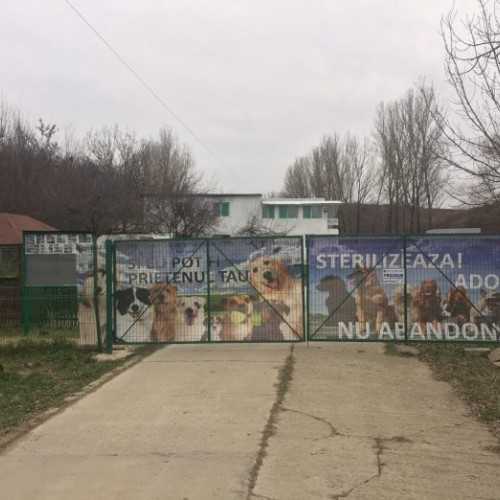Anchetă după uciderea și incinerarea câinilor la adăpostul Sărăceşti din Slatina