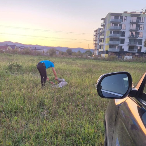 Doi bărbați dați dispăruți au fost găsiți în Timișu de Sus și Râșnov