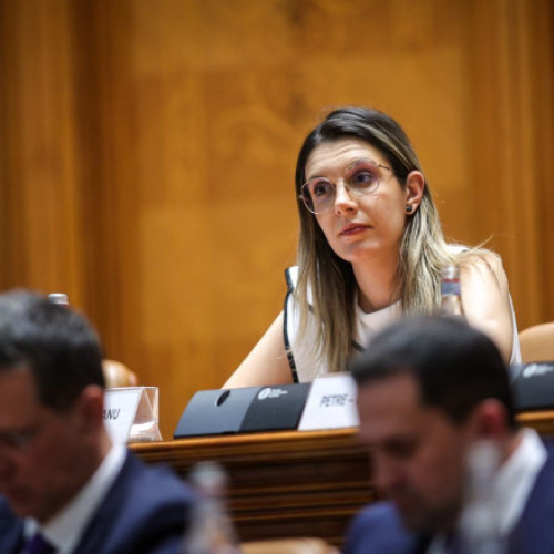 Moţiunea simplă împotriva ministrului Mediului, Diana Buzoianu, va fi votată miercuri în Camera Deputaţilor