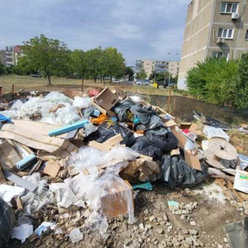 Poliția Locală Timișoara continuă verificările pentru abandonul de deșeuri