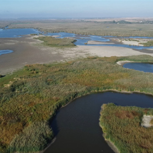 Dezastru ecologic în Delta Neajlovului: apa a scăzut cu trei metri