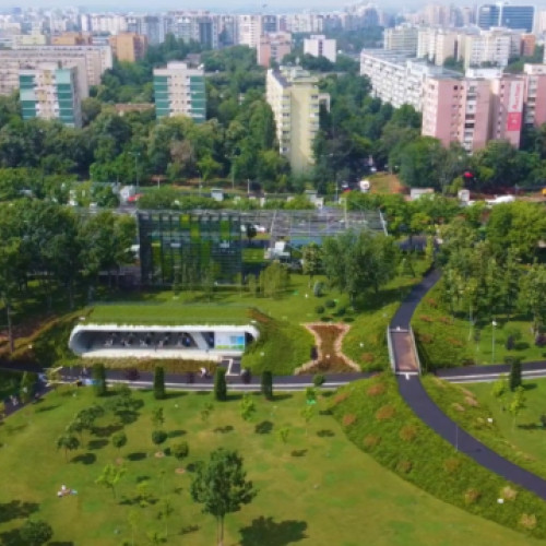 Creșterea amenzilor pentru defrișările ilegale, dezbătută la Primăria Capitalei