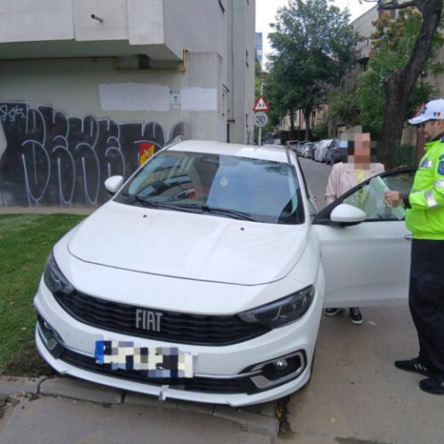 Primăria Sectorului 2 a amenajat spațiile verzi de pe Bulevardul Ferdinand