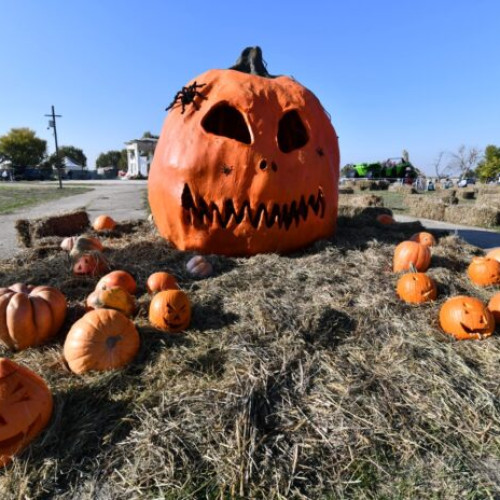 Începe West Side Hallo Fest, cel mai mare festival de Halloween din România