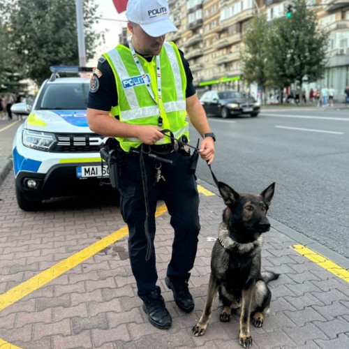 Elevii patrulei școlare din Baia Mare au atras atenția șoferilor în acțiunea de siguranță rutieră