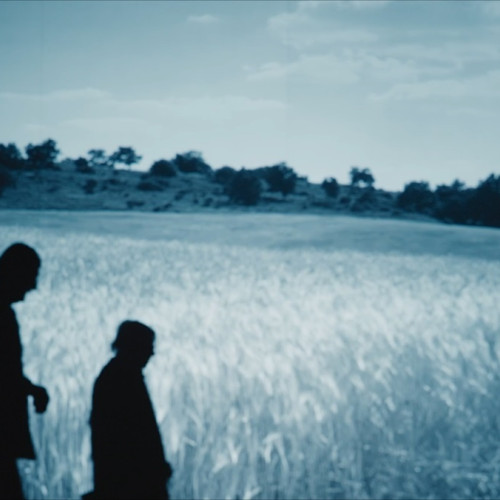 Filmul „Pădurea de molizi” readuce în prim-plan masacrul de la Fântâna Albă din 1941