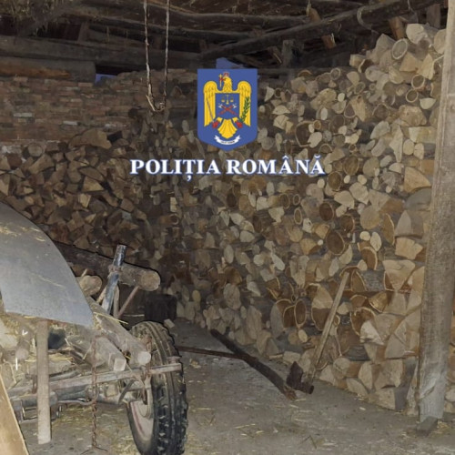 Percheziții ample la Sibiu în dosar de corupție și tăieri ilegale de arbori