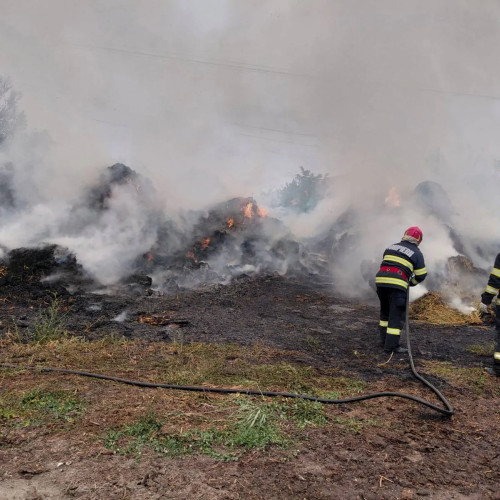 Incendiu la Afumați: intervenție pentru protejarea locuințelor din apropiere