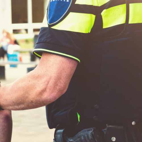 Doi adolescenți olandezi arestați pentru spionaj, suspectați de legături cu hackeri pro-ruși