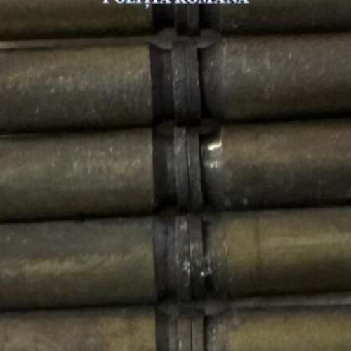 Razia de prevenire în Făget a scos în evidență încălcări ale legii și muniție ilegală